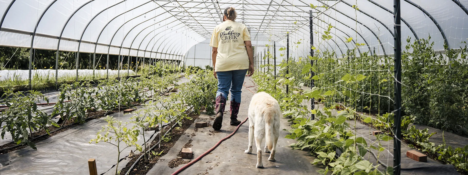 Blackberry Creek - Maine Farm Fresh Products
