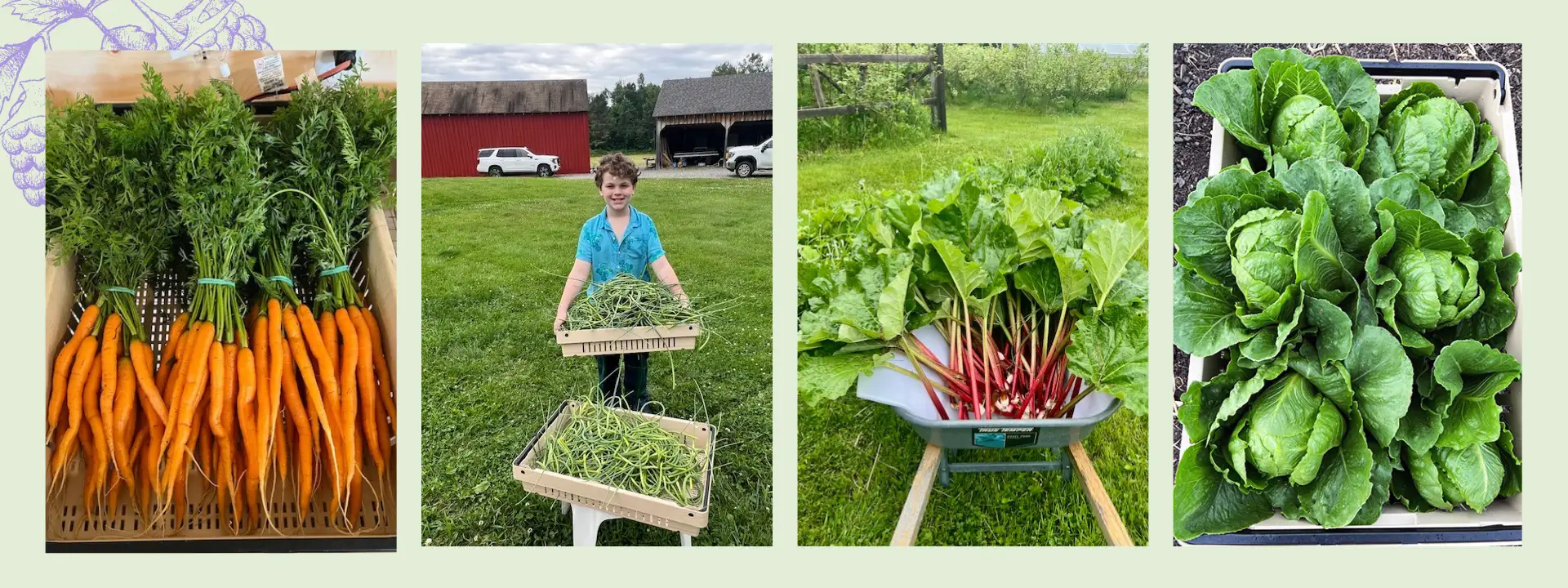 Blackberry Creek - Maine Farm Fresh Products