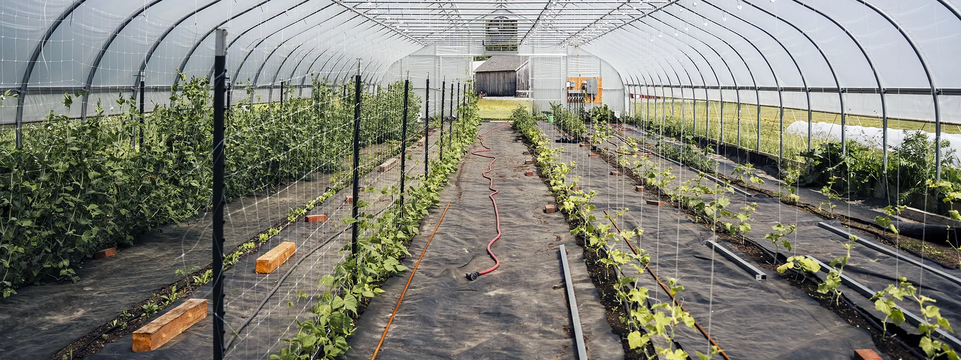 Blackberry Creek - Maine Farm Fresh Products