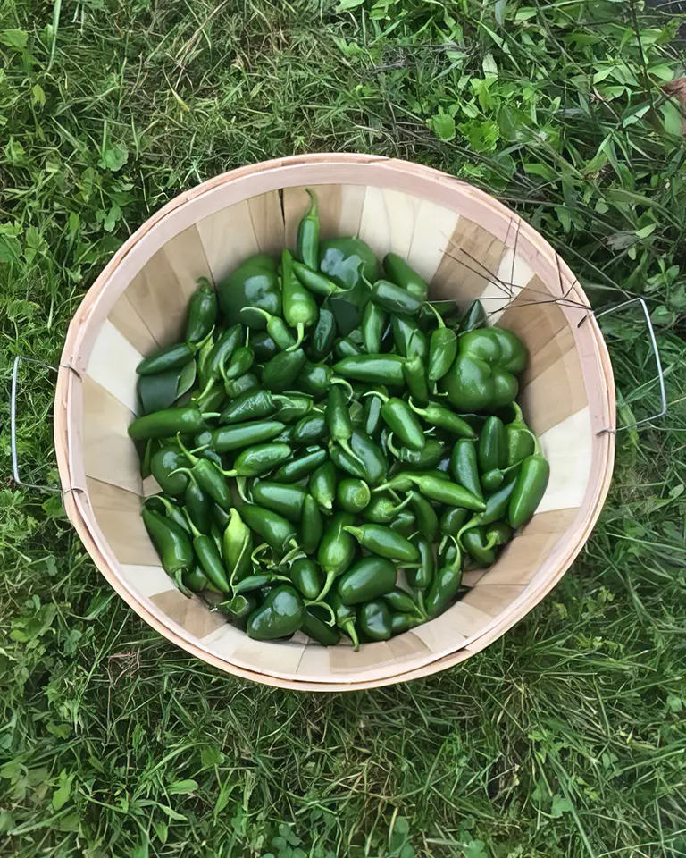 Blackberry Creek - Some of our Produce