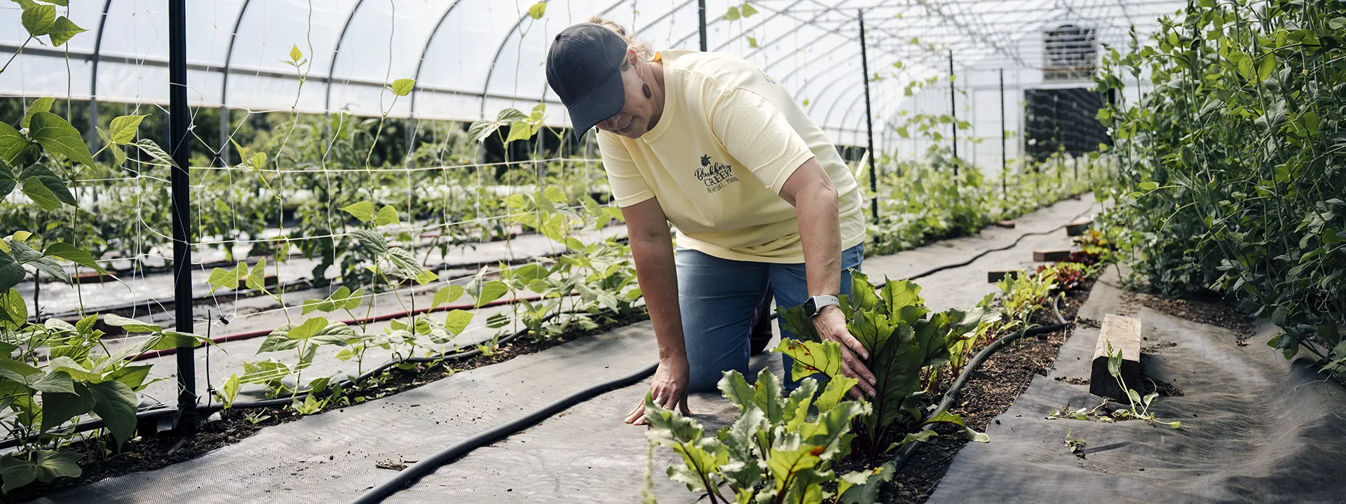 Blackberry Creek - Maine Farm Fresh Produce